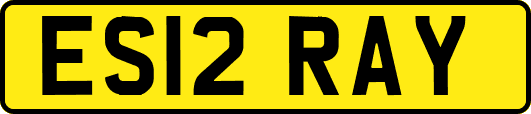 ES12RAY