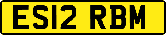 ES12RBM