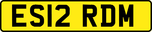 ES12RDM