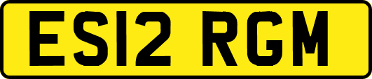 ES12RGM