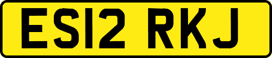 ES12RKJ
