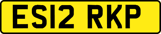 ES12RKP