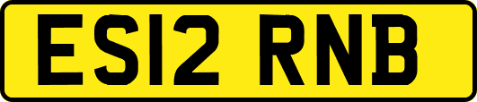 ES12RNB