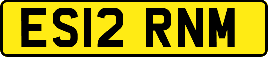 ES12RNM