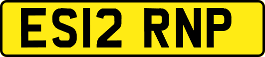 ES12RNP
