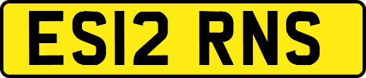 ES12RNS