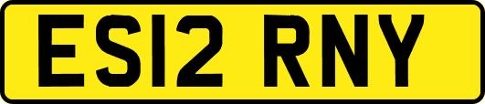 ES12RNY