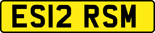 ES12RSM