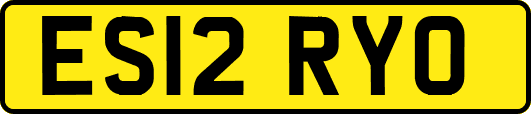 ES12RYO