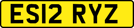 ES12RYZ