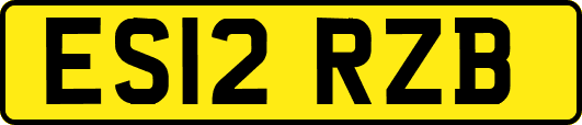 ES12RZB