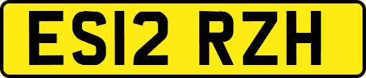 ES12RZH