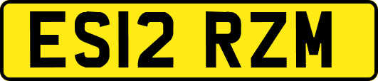 ES12RZM