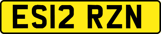 ES12RZN