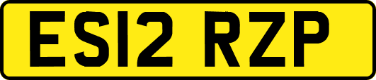 ES12RZP