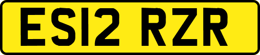 ES12RZR
