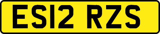 ES12RZS