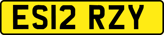 ES12RZY