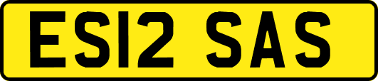ES12SAS