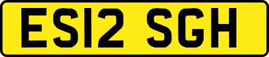 ES12SGH