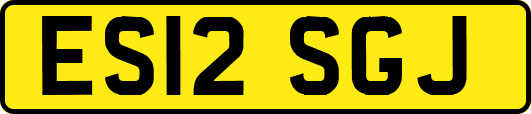 ES12SGJ