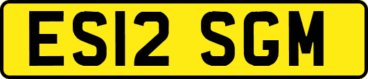 ES12SGM