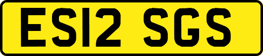 ES12SGS