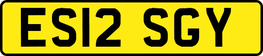 ES12SGY