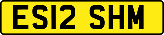ES12SHM