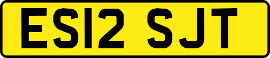 ES12SJT