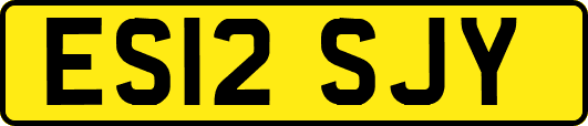 ES12SJY