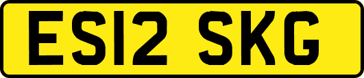ES12SKG