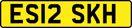 ES12SKH