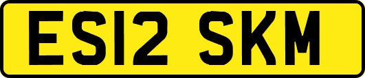 ES12SKM