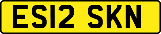 ES12SKN