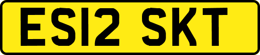 ES12SKT