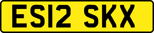 ES12SKX