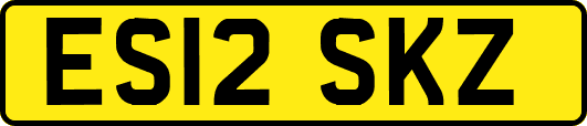 ES12SKZ