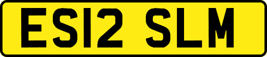 ES12SLM