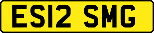ES12SMG