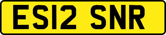 ES12SNR