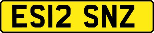 ES12SNZ