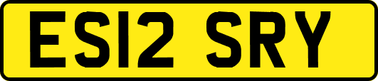 ES12SRY