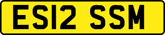 ES12SSM