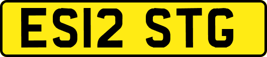 ES12STG