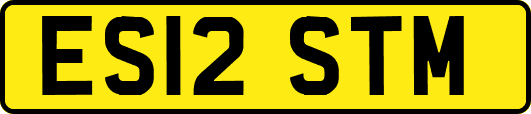 ES12STM