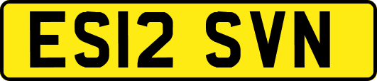 ES12SVN