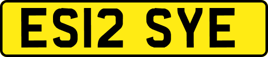ES12SYE