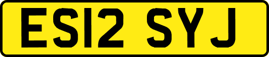 ES12SYJ