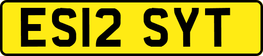 ES12SYT